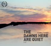 Album artwork for Dawns Here Are Quiet