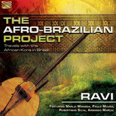 Album artwork for The Afro Brazilian Project: Travels with the Afric