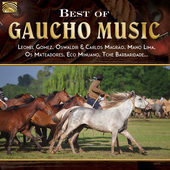 Album artwork for Best of Gaucho Music