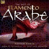 Album artwork for The Best of Flamenco Arabe