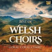 Album artwork for Best of Welsh Choirs