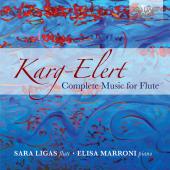 Album artwork for KARG-ELERT: FLUTE MUSIC