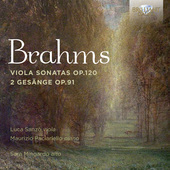 Album artwork for Brahms: Viola Sonata, Op. 120 & 2 Gesänge, Op. 91