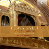 Album artwork for Fumagalli: Organ Music