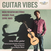 Album artwork for Guitar Vibes: Music for Guitar and Strings
