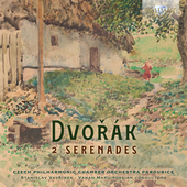 Album artwork for Dvorak: 2 Serenades