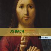 Album artwork for Bach: Mass in B minor (Herreweghe)