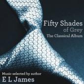 Album artwork for Fifty Shades of Grey