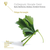 Album artwork for Collegium Vocale Ghent - 50th Anniversary 6-CD