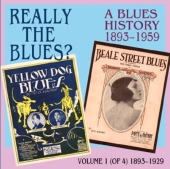 Album artwork for Really the blues Vol.1 - a Blues History 1893-1959