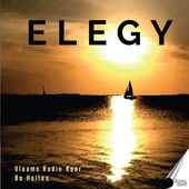 Album artwork for Elegy