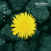 Album artwork for Book of Memory