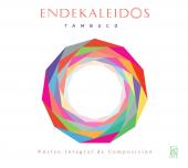 Album artwork for Endekaleidos
