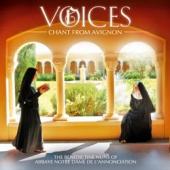 Album artwork for Voices: Chant from Avignon  / Benedictine Nuns