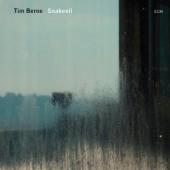 Album artwork for Tim Berne: Snakeoil
