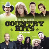Album artwork for COUNTRY HITS 2014