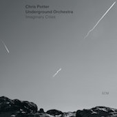Album artwork for Imaginary Cities / Chris Potter