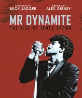 Album artwork for Mr Dynamite  - The Rise of James Brown