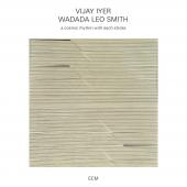 Album artwork for A Cosmic Rhythm with Each Stroke / Iyer, Smith