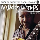 Album artwork for The Very Best of Muddy Waters (1947-1975)