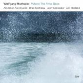 Album artwork for Where the River Goes / Wolfgang Muthspiel