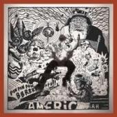 Album artwork for AMBROSE AKINMUSIRE -  ORIGAMI HARVEST