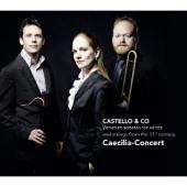 Album artwork for Castello & Co: Venetian sonatas for winds and stri