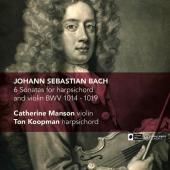 Album artwork for 6 Sonatas for harpsichord and violin BWV 1014-1019