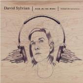 Album artwork for DAVID SYLVIAN - DIED IN THE WOOL