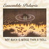 Album artwork for NOT MUCH IS WORSE THAN A TROLL