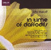 Album artwork for METCALF: IN TIME OF DAFFODILS