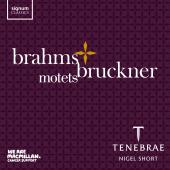 Album artwork for Brahms & Bruckner MOTETS / Tenebrae