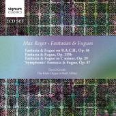 Album artwork for Reger: Fantasies & Fugues / Goode