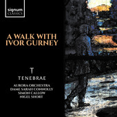Album artwork for A Walk With Ivor Gurney