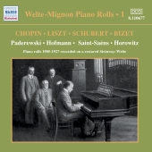 Album artwork for WELTE-MIGNON PIANO ROLLS: VOL. 1