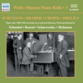 Album artwork for Welte-Mignon Piano Rolls Vol 3 - R. Strauss, Grieg