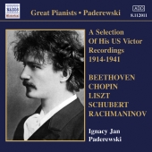 Album artwork for Ignacy Jan Paderewski: US Victor Recordings