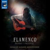 Album artwork for Flamenco - Pasado y Presente