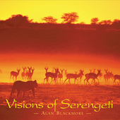 Album artwork for Alan Blackmore - Visions Of Serengeti 