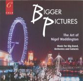 Album artwork for Bigger Pictures - The Art of Nigel Waddingtion