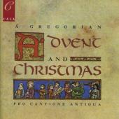 Album artwork for Gregorian Advent and Christmas