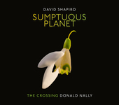 Album artwork for David Shapiro: Sumptuous Planet
