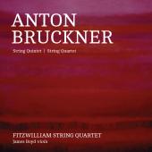 Album artwork for Bruckner: String Quintet in F Major & String Quart