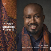 Album artwork for African American Voices II