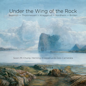 Album artwork for UNDER THE WING OF THE ROCK