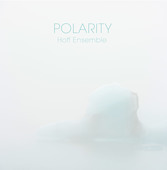 Album artwork for Polarity (LP)