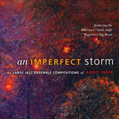 Album artwork for Andy Jaffe: AN IMPERFECT STORM