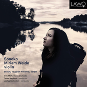 Album artwork for Violin Concertos / Welde