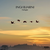Album artwork for INGI BJARNI: Farfuglar