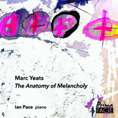 Album artwork for Ian Pace - The Anatomy Of Melancholia 